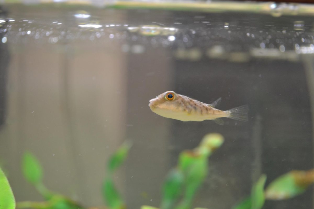 New residents move into the media center